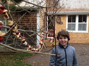 Simon stands outside the cabin with cranberry garland in the tree